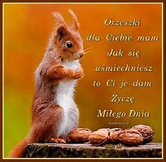 Wiewióreczka z orzeszkami i życzeniami